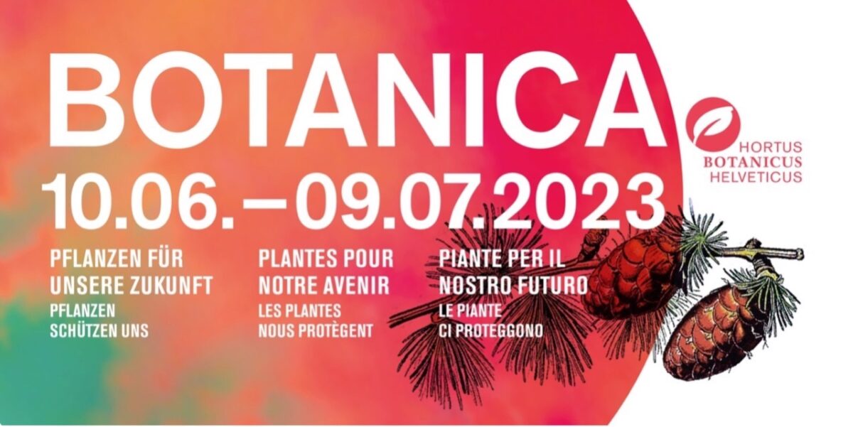 Botanica 2023 Pflanzen